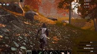 流放者散兵爆料图解视频,揭秘神秘角色与技能解析